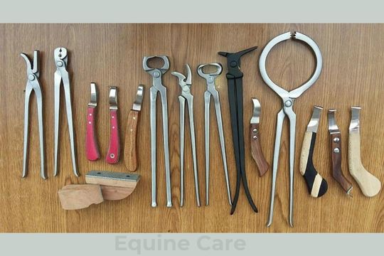 How to Care for Your Farrier Tools to Maximize Longevity