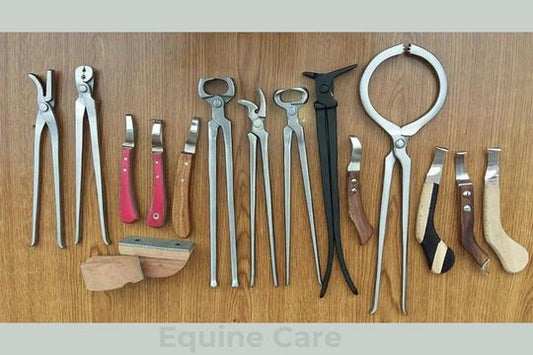 How to Care for Your Farrier Tools to Maximize Longevity