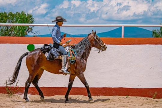 A Cleaner Hoof, A Happier Horse: Best Tools Explained