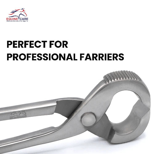 Stainless steel horseshoe puller with side teeth, ideal for professional farriers during hoof care.