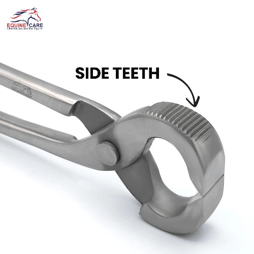 Close-up of serrated horseshoe puller with labeled side teeth for enhanced grip during hoof shoe removal.