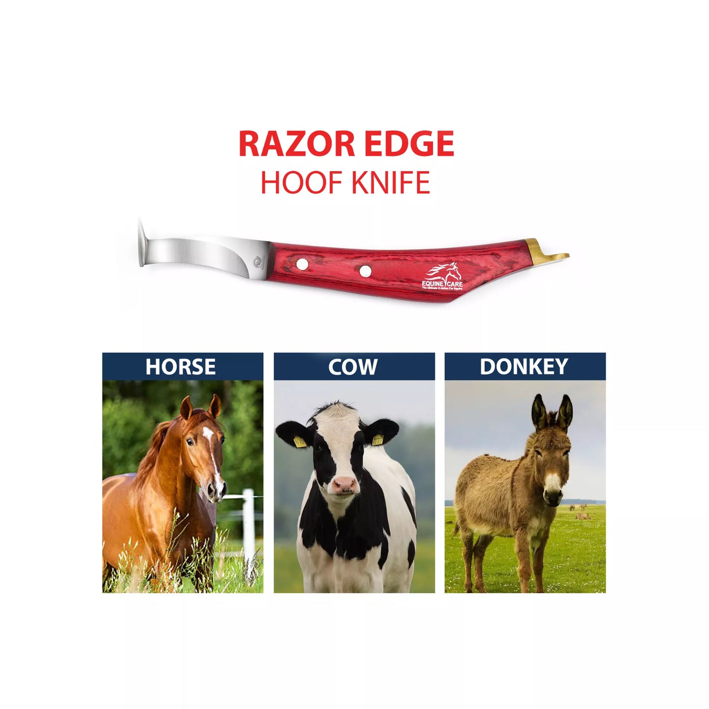 EquineCares hoof pick farrier knife tool trusted by farriers veterinarians and livestock caretakers for daily hoof care fr horse cow and donkey