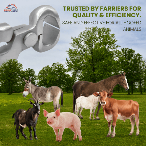 Farrier Trimmer – Chrome Vanadium Hoof Care Tool for Precision Cutting - Equine Care