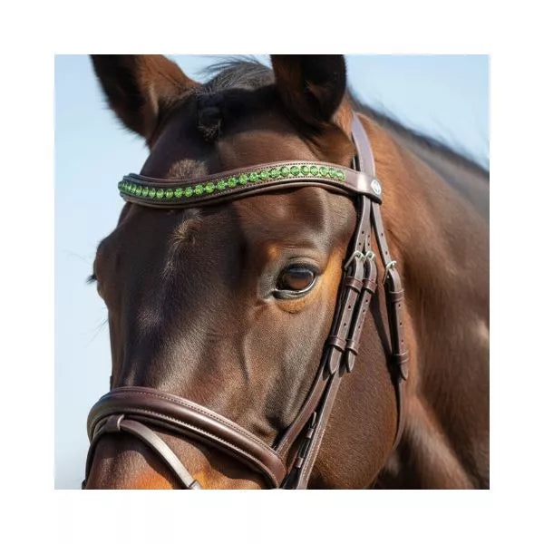 Equine Care Trense aus englischem Leder – Standardgröße, mit Kristallstirnband und -zügeln