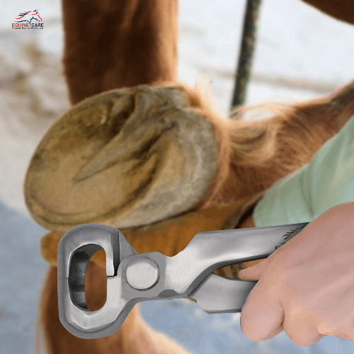 Half Round Hoof Trimmers for Horses – Get Precise Hoof Trims - Equine Care