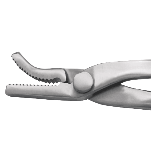 Alligator Hoof Nail Clincher – Professional Farrier Tool for Hoof Maintenance - Equine Care