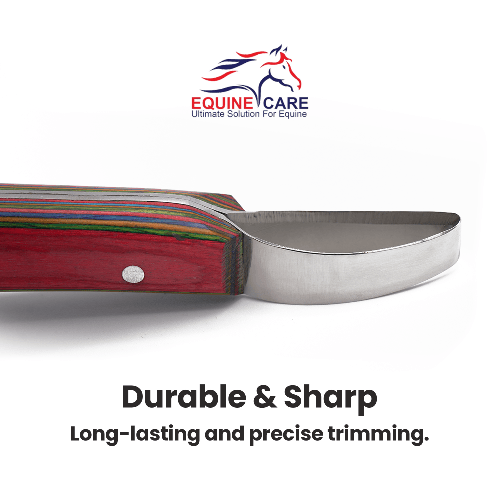 Loop Hoof Knife for Horses – J2 Stainless Steel, Ergonomic Handle - Equine Care