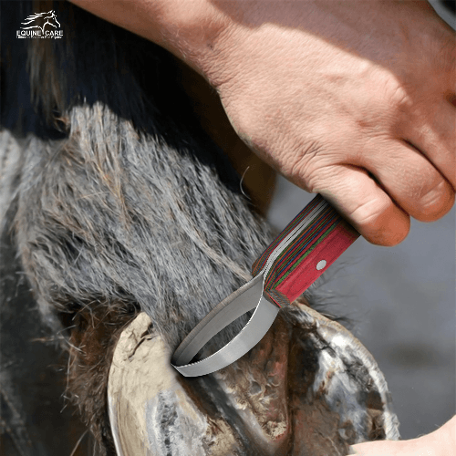 Loop Hoof Knife for Horses – J2 Stainless Steel, Ergonomic Handle - Equine Care