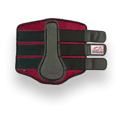 Neoprene Splint Boots with Protective Design - Equine Care