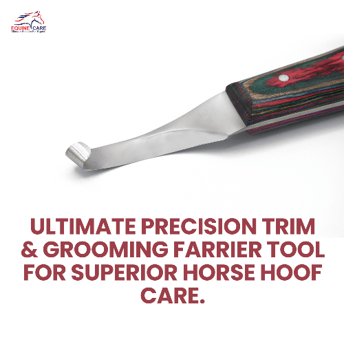 Precision Hoof Knife for Horses – Right & Left, J2 Steel Blade - Equine Care