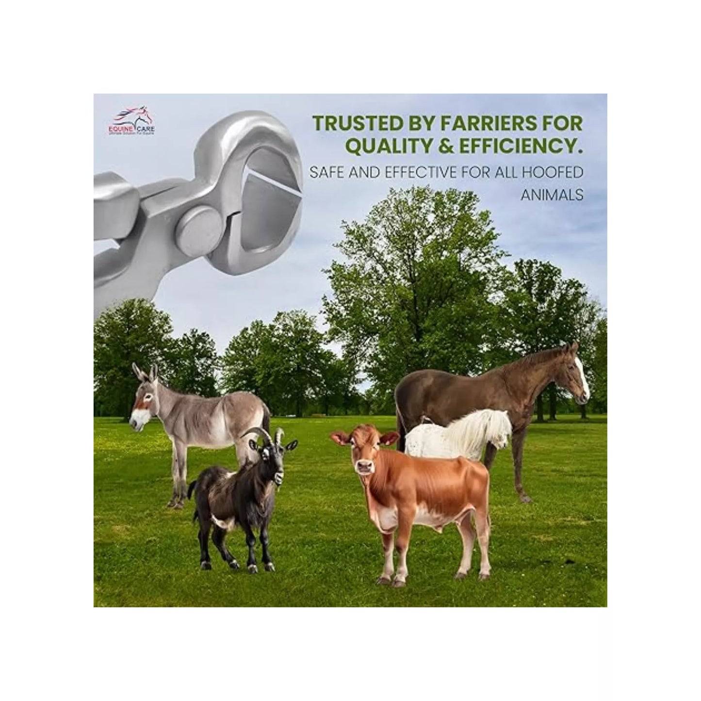 Spring Loaded Hoof Nipper Tool - 10″ & 12″ Farrier Nippers Set