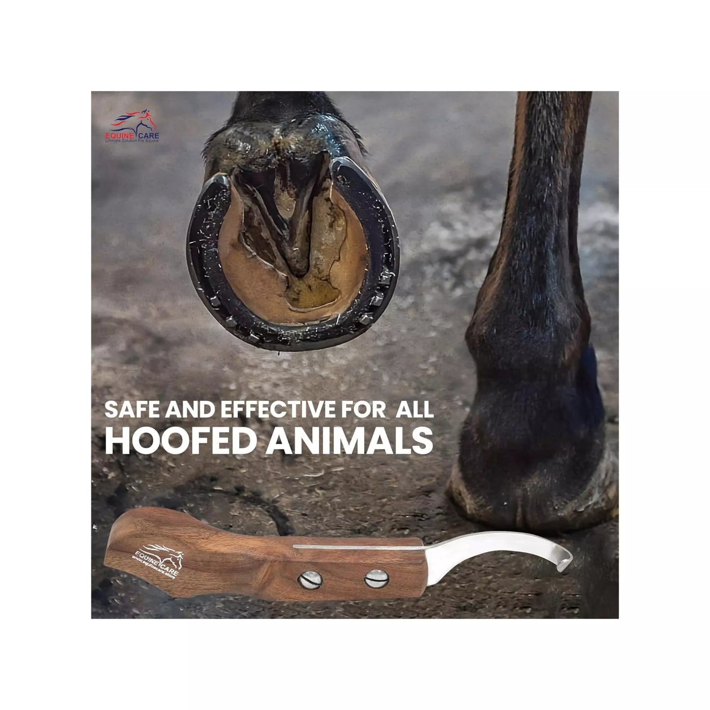 Wooden Farrier Hoof Knife curved blade