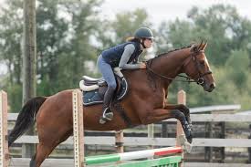 Does a Horse’s Hoof Grow Back? A Comprehensive Guide