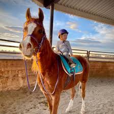 Horse Hoof Frog: What It’s Made Of & How It Works