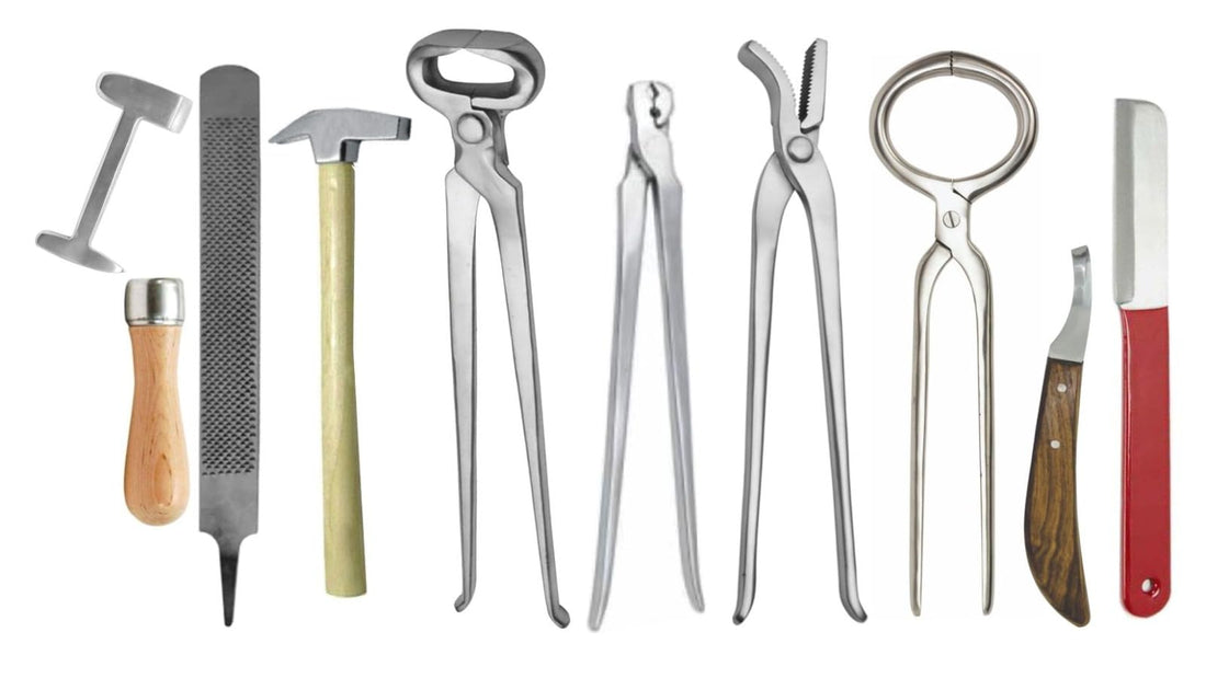 Top 10 Essentials Farrier Tools for Optimal Hoof Care