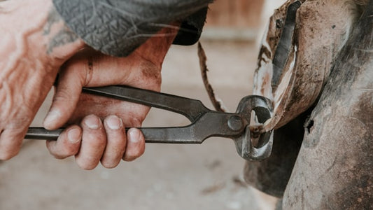 Overgrown Frog in Horses: Safe Trimming Techniques and Hoof Health Tools