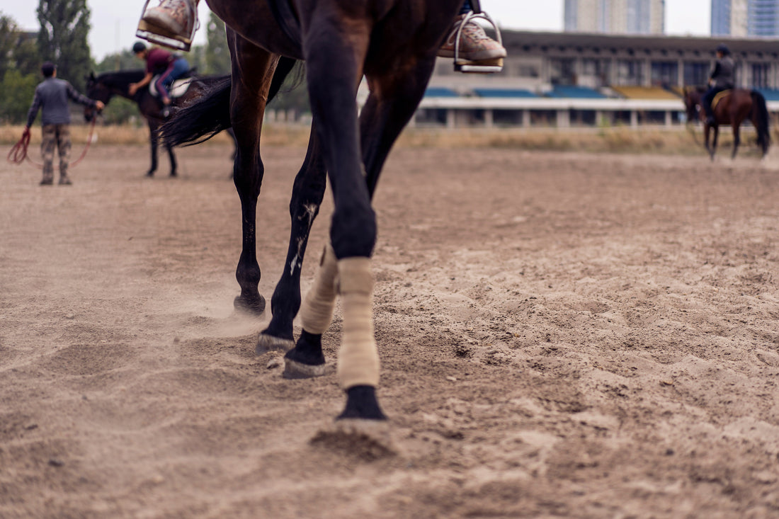 Advanced Farrier Tools for Managing Hoof Punctures and Coronary Band Injuries: A Research-Based Approach to Modern Hoof Care and Equine Biomechanics