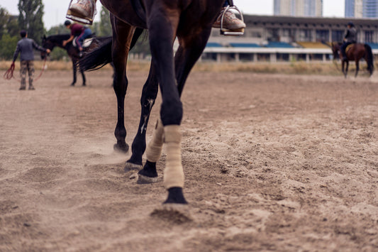 Advanced Farrier Tools for Managing Hoof Punctures and Coronary Band Injuries: A Research-Based Approach to Modern Hoof Care and Equine Biomechanics