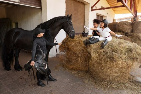 Best Farrier Tools for Hoof Care: Equip Yourself for Success