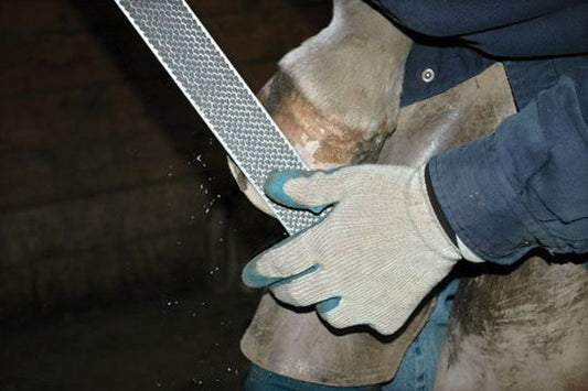 Top Tools to Fix Grass Cracks Quickly and Safely