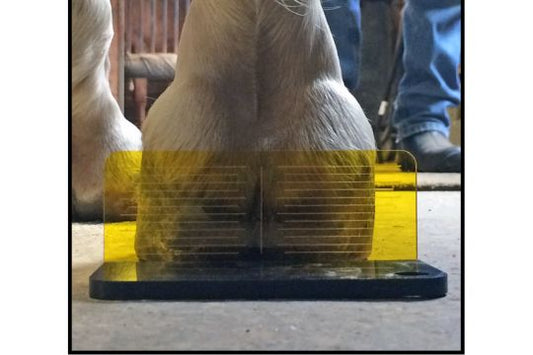 Tools That Solve Sheared Heels: Balance with Confidence