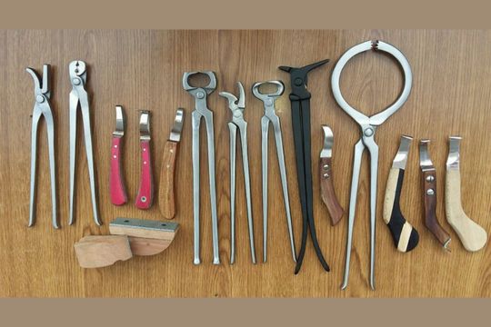 Club Foot Correction Starts with These Precision Tools for Farriers