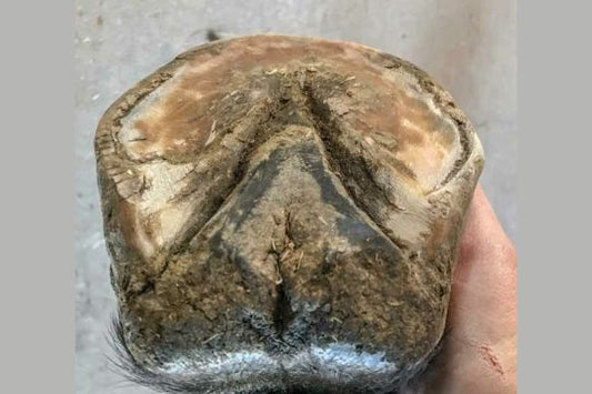 Protect Thin Soles with Strategic Trimming Techniques