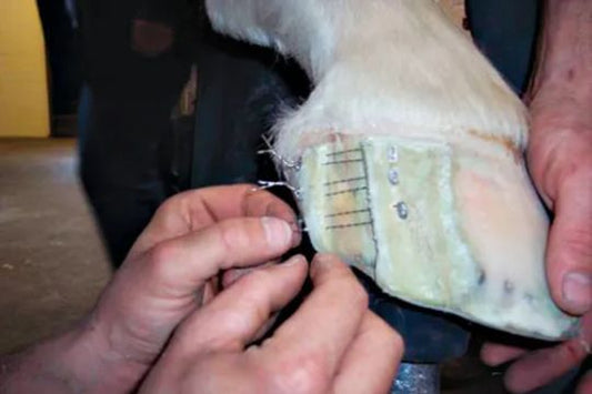 Quarter Crack Solutions: The Right Tools for Rebalancing