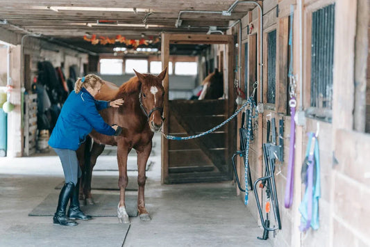 Professional Hoof Trimming Tools: What Farriers Use and Recommend