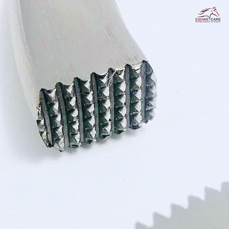 Equine Care 13” hoof tester in professional kit with other Equine Care hoof care tools and farrier-grade veterinary supplies