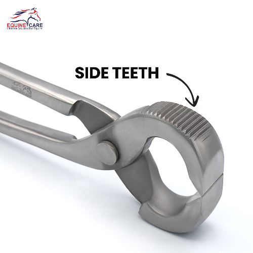 14" Horse shoe Puller – Serrated Jaws Farrier Tool