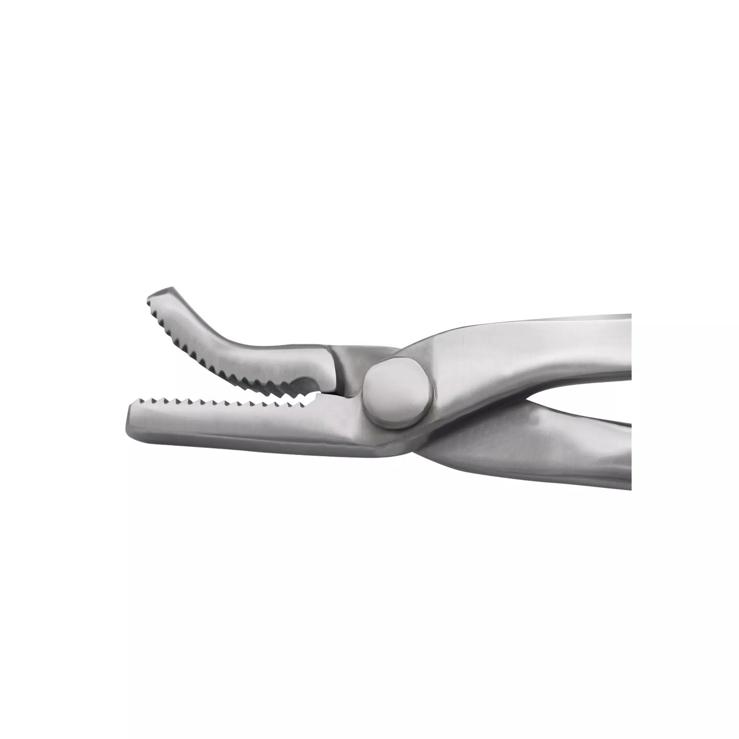 alligator jaw design hoof nail clincher by equinecares for secure horseshoe nail clinching