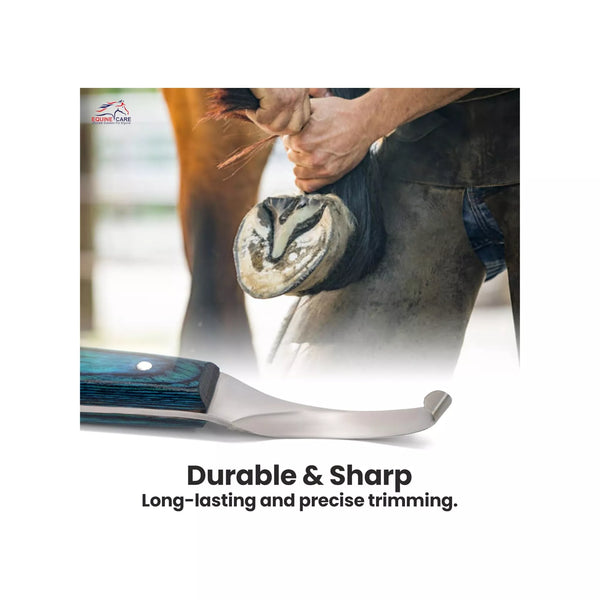 Close up of EquineCares blue curved blade hoof knife showing sharp stainless steel cutting edge