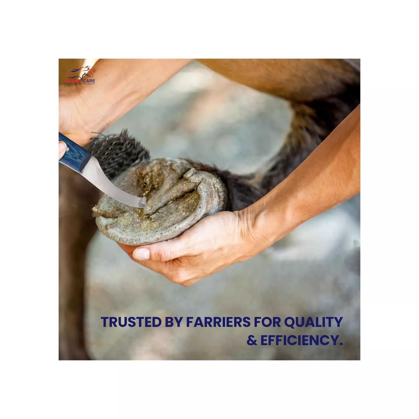 EquineCares blue curved blade hoof knife highlighting durability and sharpness for long lasting precise trimming