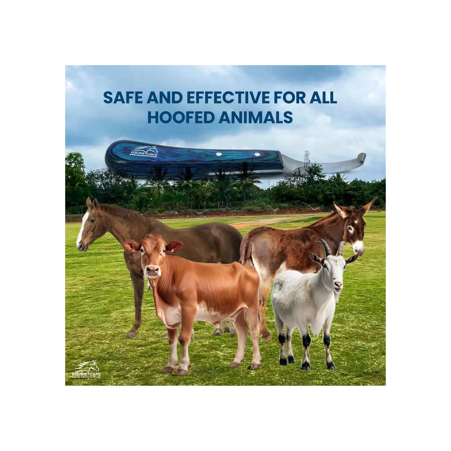 EquineCares blue curved blade hoof knife suitable for horses cows goats sheep and other hoofed animals