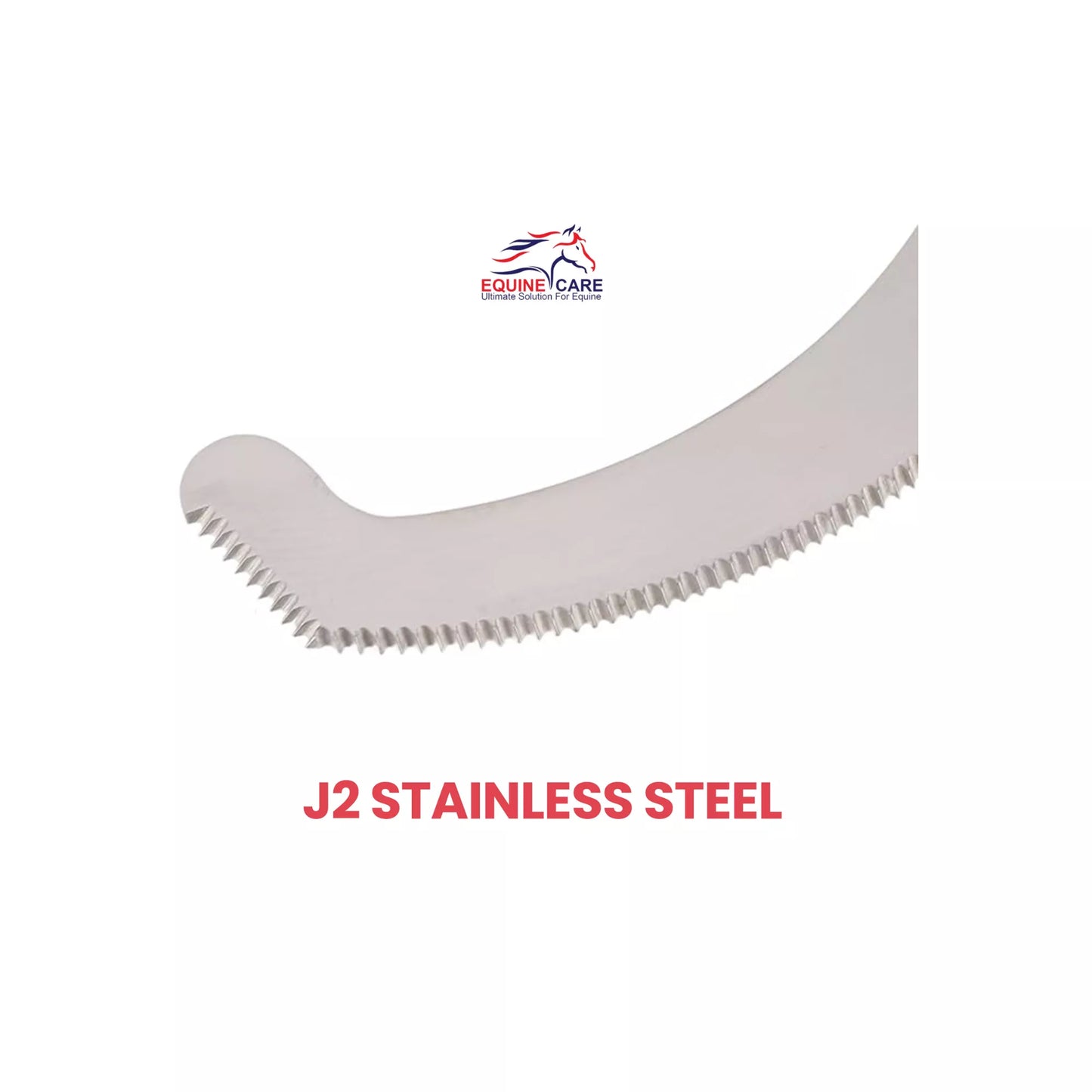 Close up of EquineCares bot egg knife blade made from J2 stainless steel for effective bot egg removal