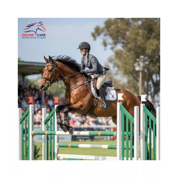 Equine Care Trense aus englischem Leder – Standardgröße, mit Kristallstirnband und -zügeln