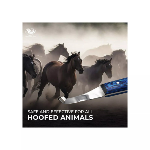 Equine Care razor edge hoof knife shown with running horses, emphasizing safe and effective hoof trimming for all hoofed animals