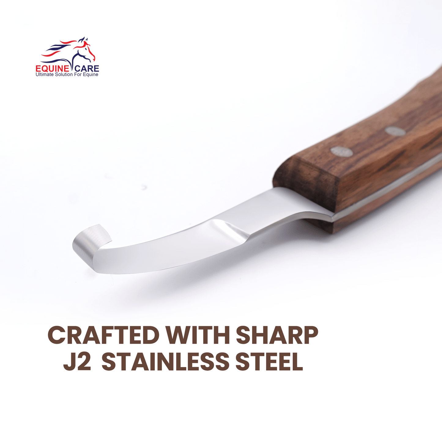 Close-up of Equine Care short blade farrier hoof knife highlighting sharp J2 stainless steel blade for precise, durable, and professional hoof trimming