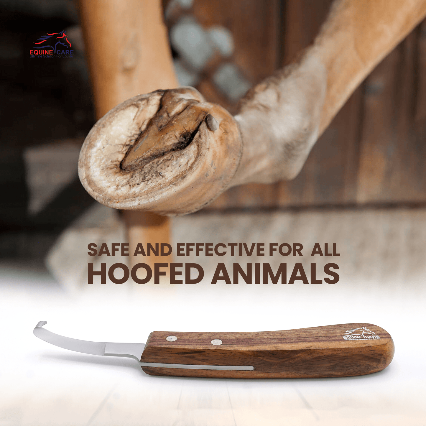 Equine Care short blade farrier hoof knife with wooden handle shown near a horse’s hoof, highlighting safe and effective trimming for all hoofed animals