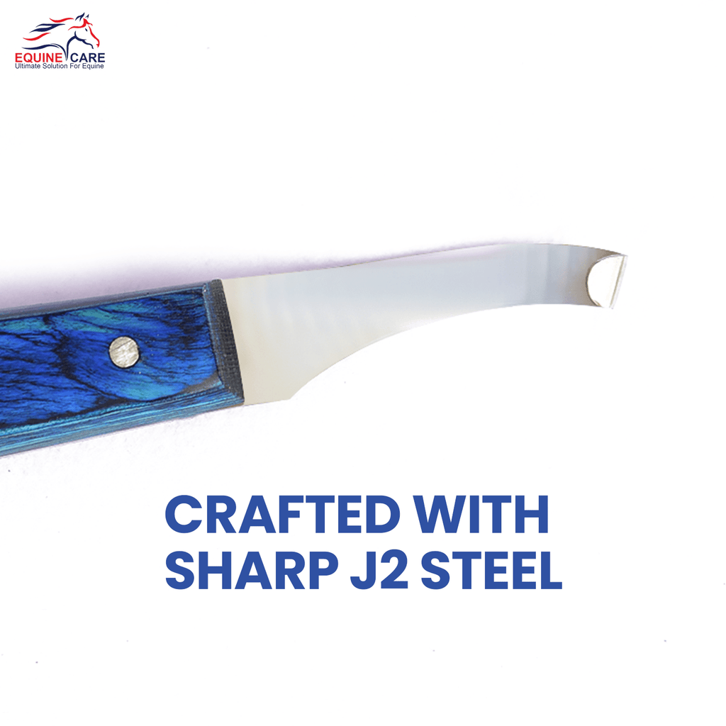 Precision Hoof Knife for Horses, J2 Steel, Right & Left, Blue