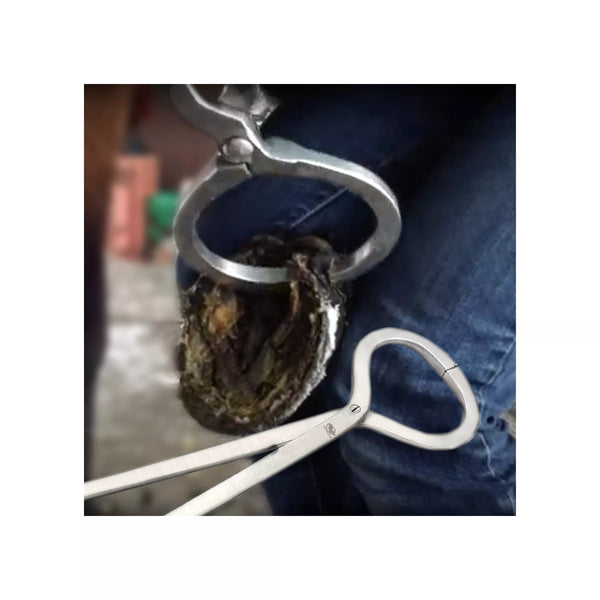 Equine Care hoof tester being used to assess hoof sensitivity and detect soreness in a horse hoof