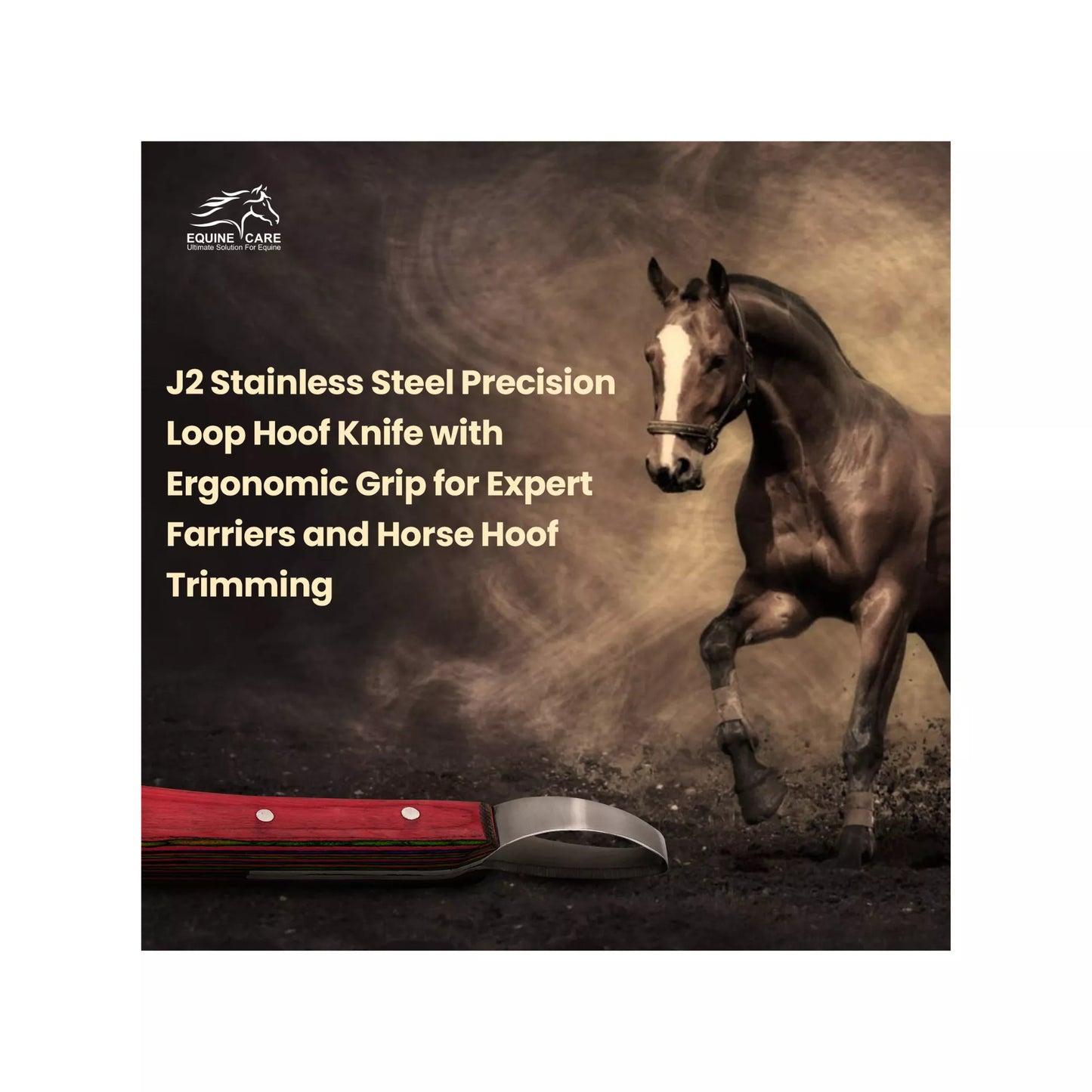 Close up of razor sharp double edged J2 stainless steel loop blade for smooth and precise hoof trimming