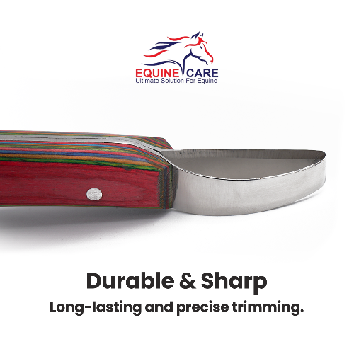 Loop Hoof Knife for Horses – J2 Stainless Steel, Ergonomic Handle