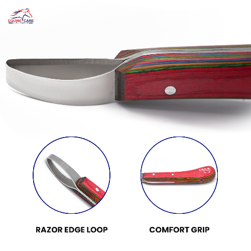 Loop Hoof Knife for Horses – J2 Stainless Steel, Ergonomic Handle