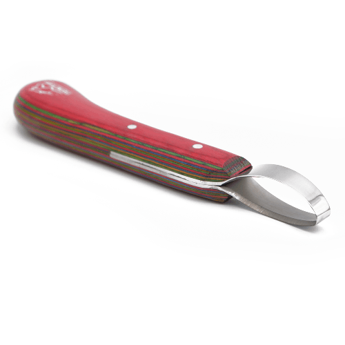 Loop Hoof Knife for Horses – J2 Stainless Steel, Ergonomic Handle