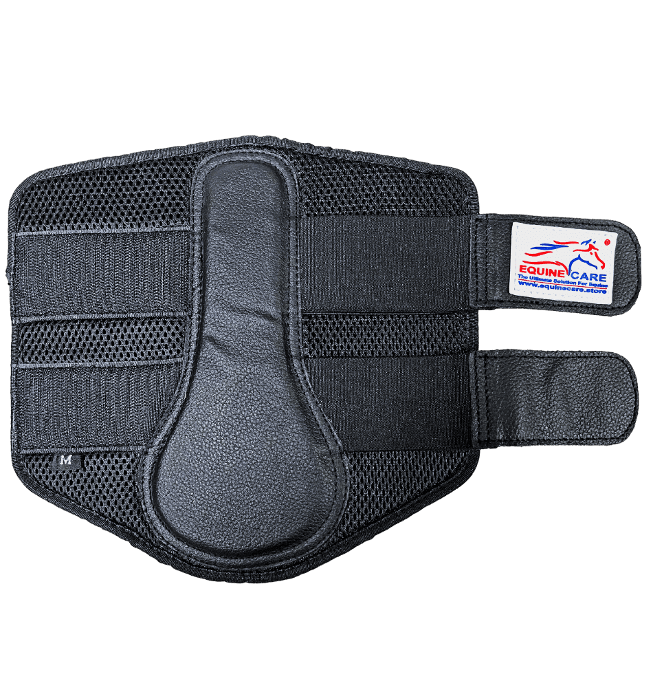 Neoprene Splint Boots with Protective Design - Equine Care