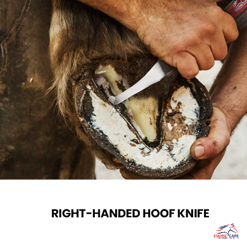 Precision Hoof Knife for Horses