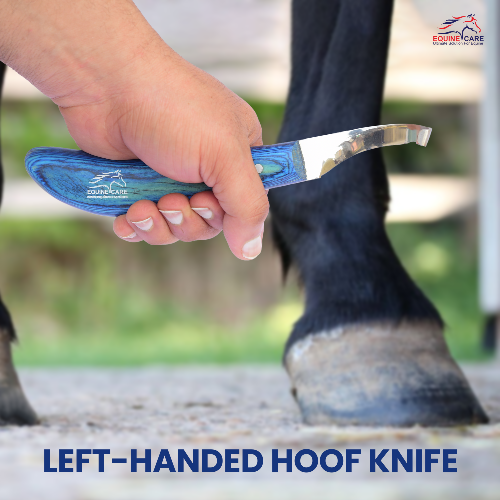 Precision Hoof Knife for Horses