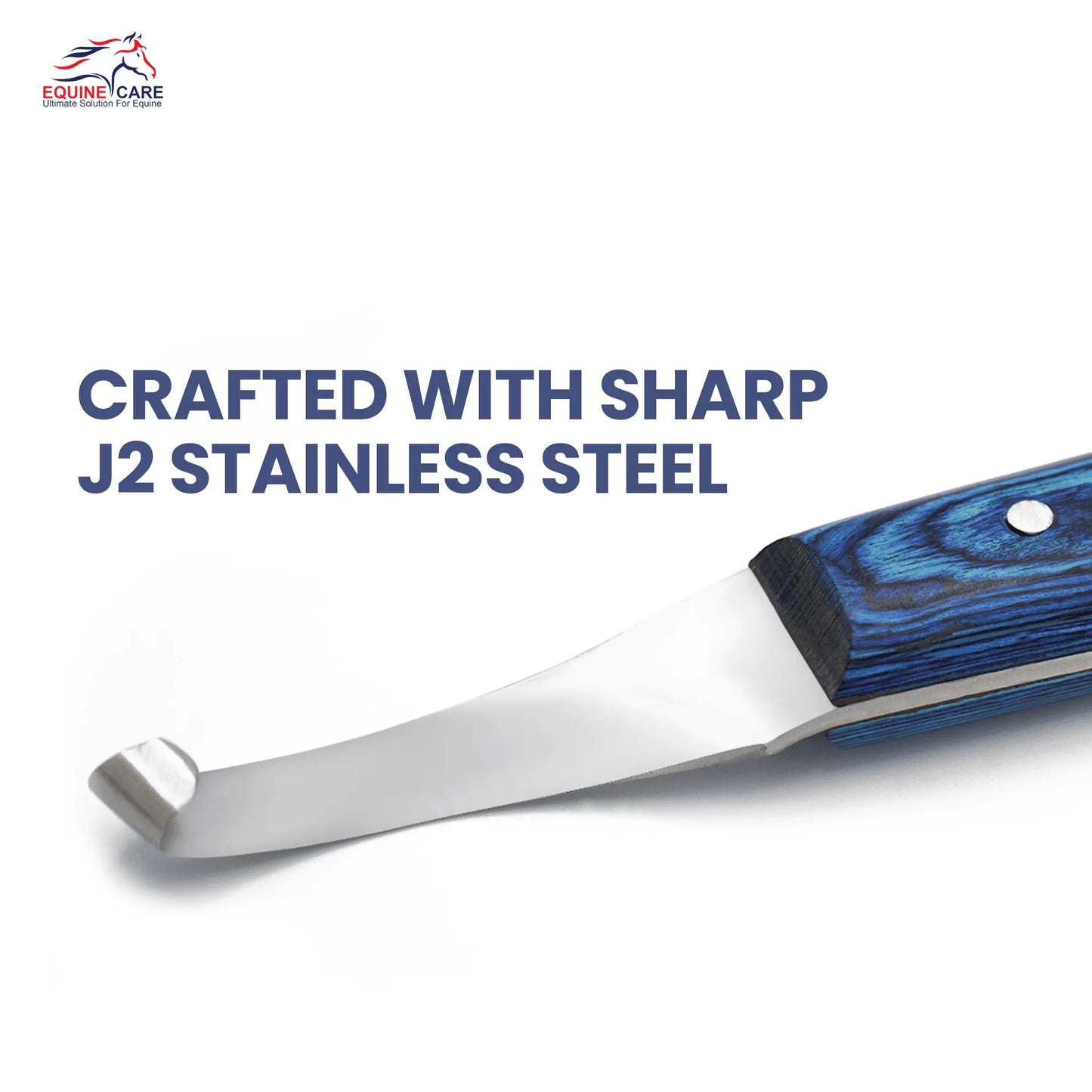 Professional Hoof Knife for Horses, Cows & Livestock